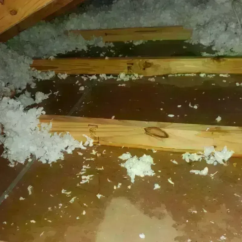 Attic Water Damage in Carol Stream, IL